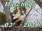 Marchegg